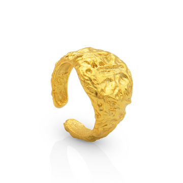 C'EST LA VIE CHARM RING